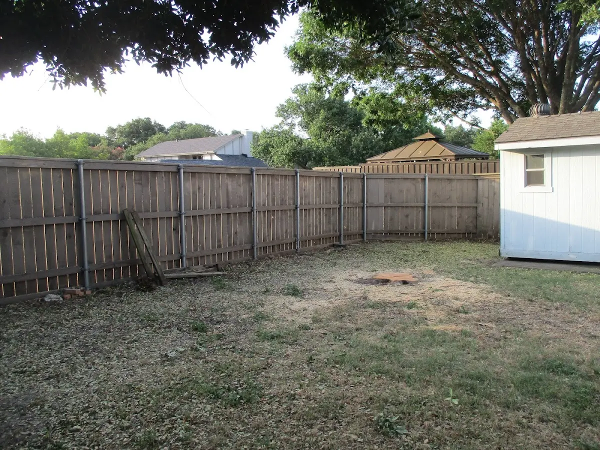 Cleared yard after professional tree removal in Marstons Mills